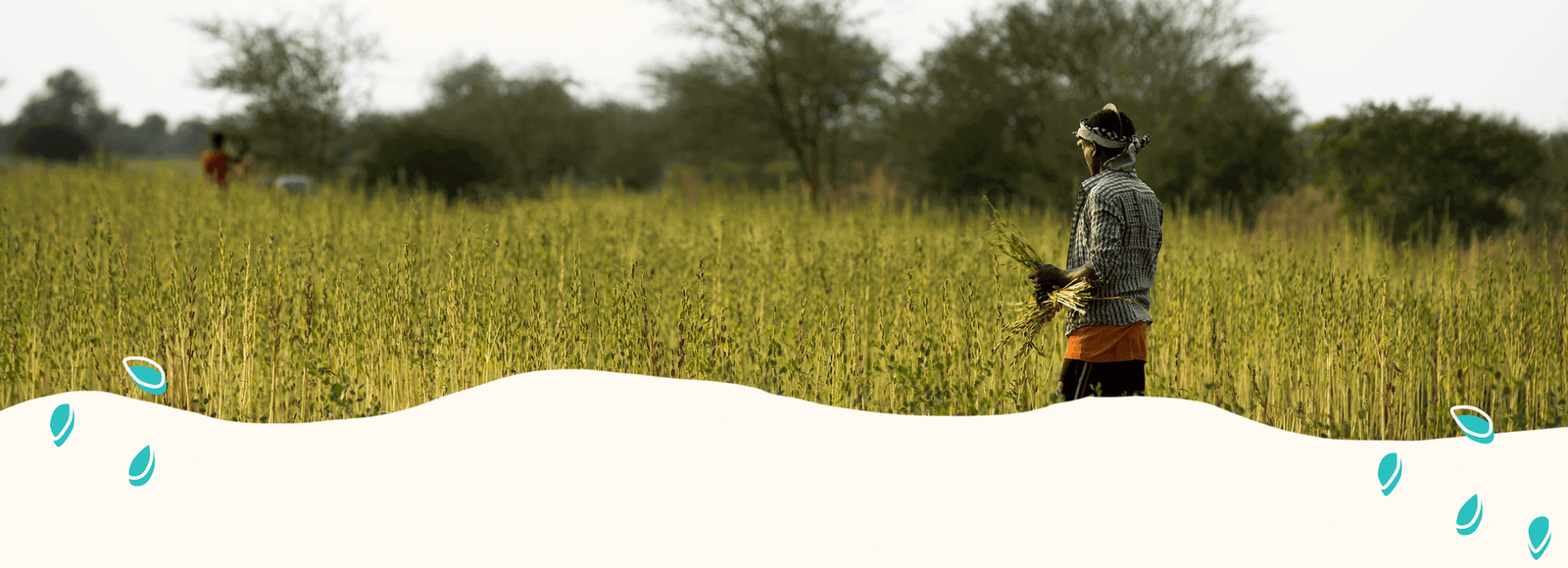 man standing in field